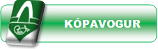 K�pavogur