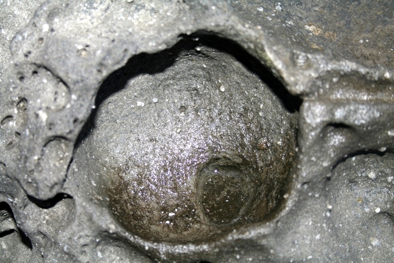 L�barningur