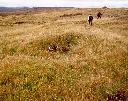 Bjarnastaðaból