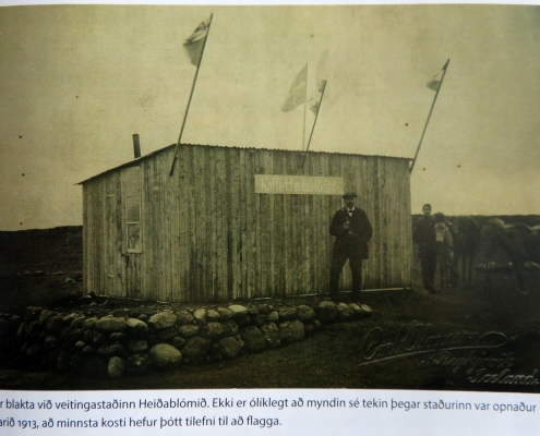 Heiðarblóm