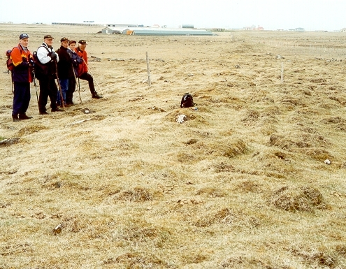 Skagagarður