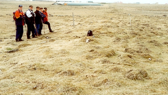 Skagagarður