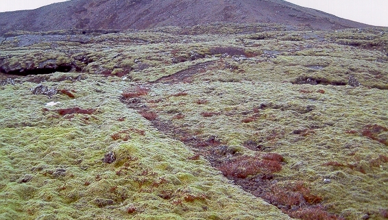 Stórhöfðastígur