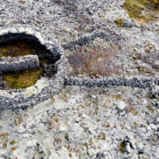 Þorbjarnarstaðaborg