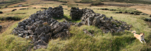 Krýsuvík