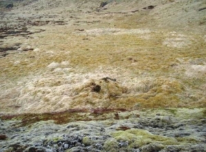 Rauðhólssel