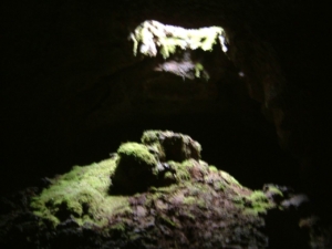 Hreiðrið