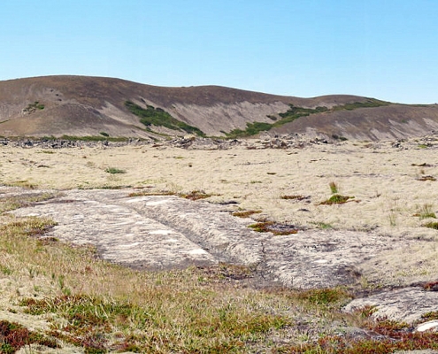 Skógfellavegur