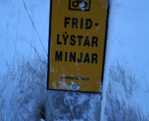 Fornleifar