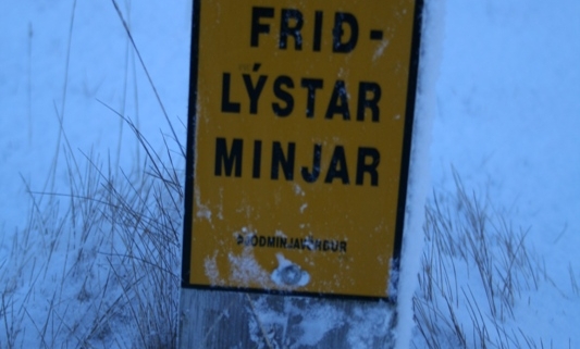 Fornleifar