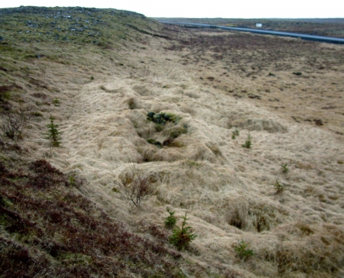 Njarðvíkursel