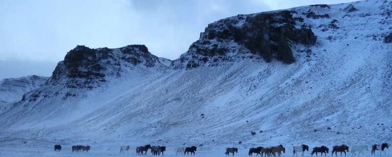 Melaseljadalur