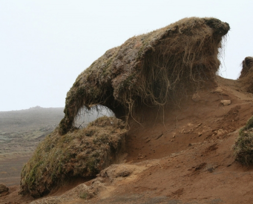 Rofabarð