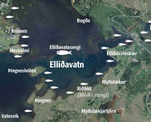 Elliðavatn