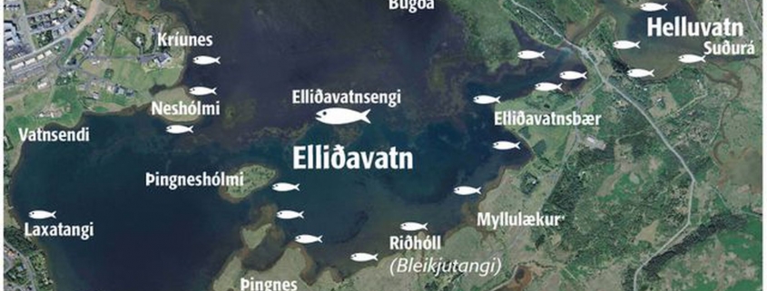 Elliðavatn