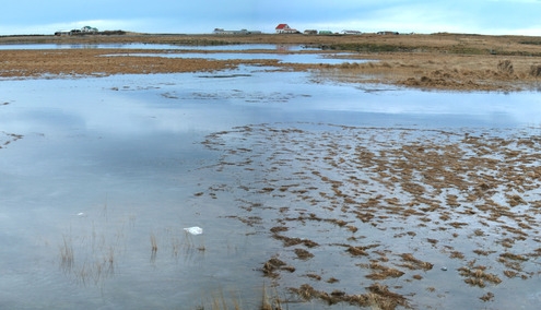 Sandgerðistjörn