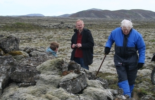 Skógfellavegur