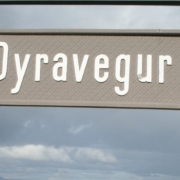 Dyravegur