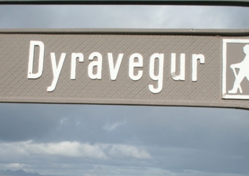 Dyravegur