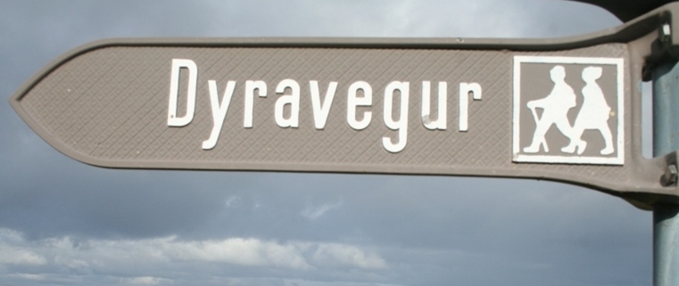 Dyravegur