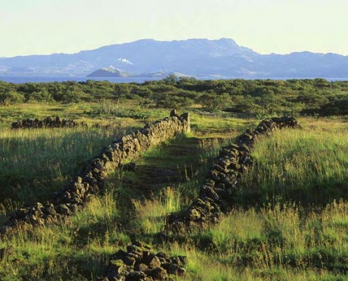 Þingvellir