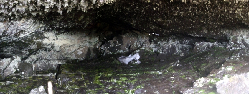 Óbrinnishólaskjól