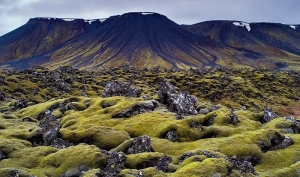 Lönguhlíðahorn