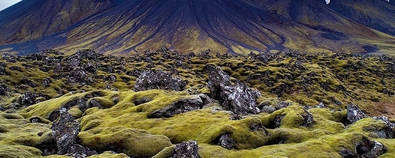 Lönguhlíðahorn