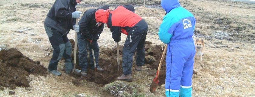 Draugshellir