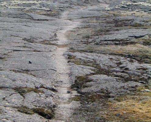 Hellisheiðarvegur