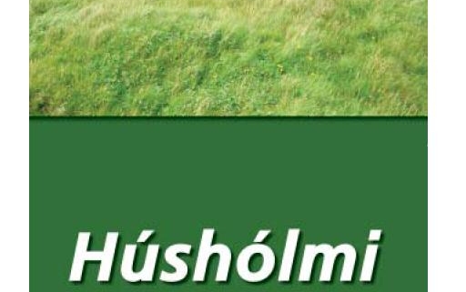 Húshólmi