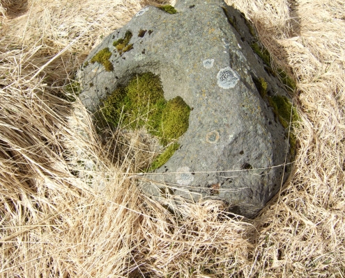 Ölfusvatn