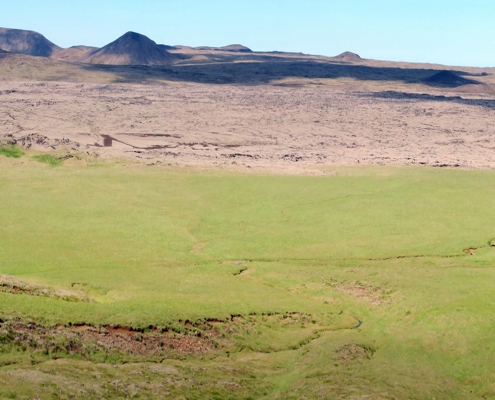 Selsvellir