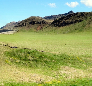 Selsvellir