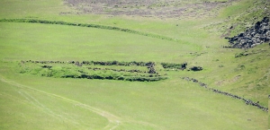 Vigdísarvellir