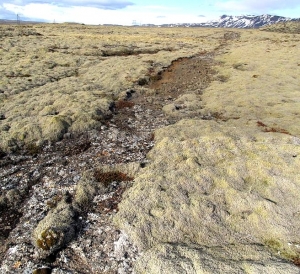 Svínahraunsleið