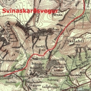 Svínaskarðsvegur