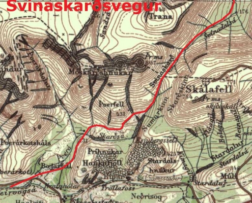 Svínaskarðsvegur