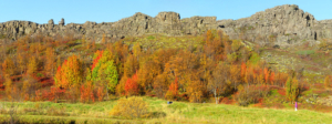 Þingvellir