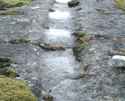 Selsvellir