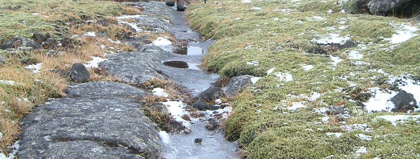 Selsvellir