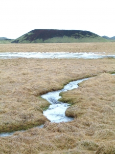 Selsvellir