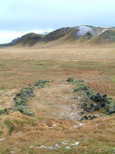 Selsvellir