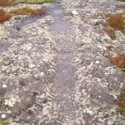 Herdísarvíkurgata (2) Herdísarvíkrugata