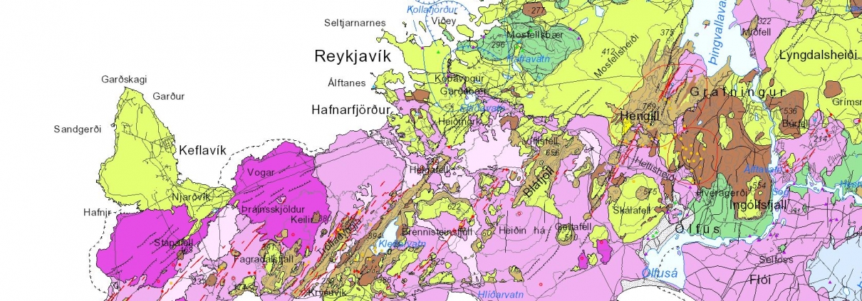 Reykjanesskagi