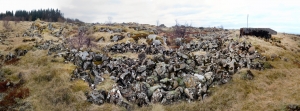 Garðaholt