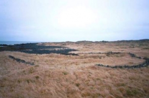 Hvassahraun
