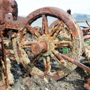 Hvítanes-27 Hvítanes