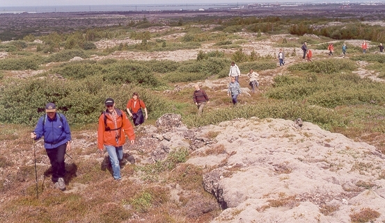 Almenningur