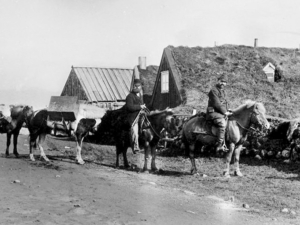 Sæfinnur